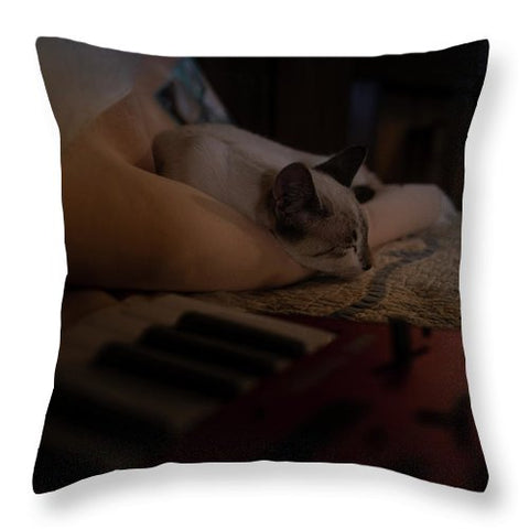 The Cat and the Keyboard - Throw Pillow