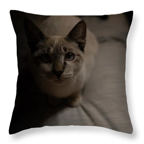 Wanna Play? - Throw Pillow