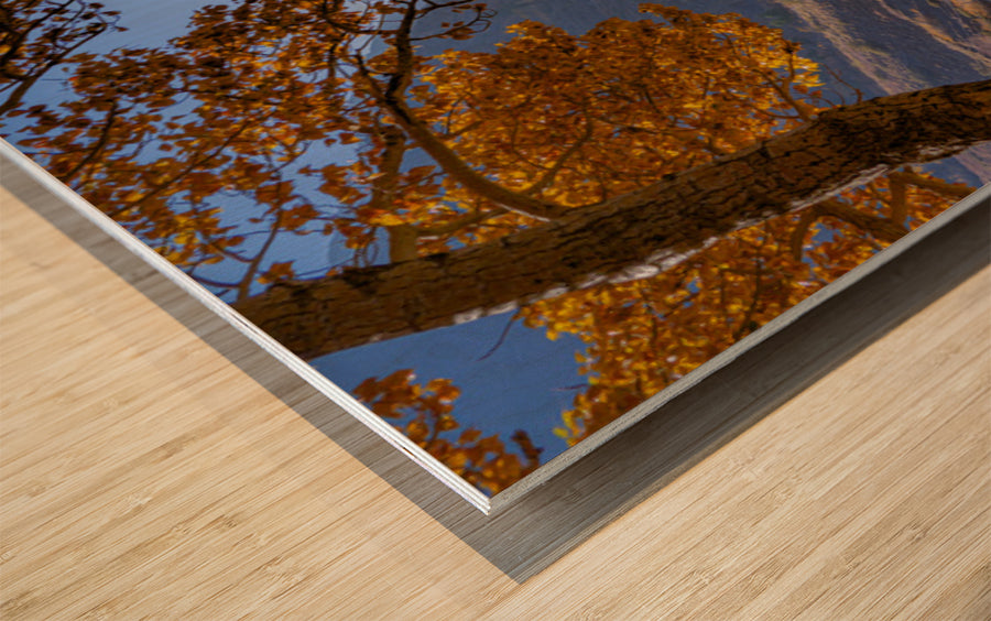 Wood Print