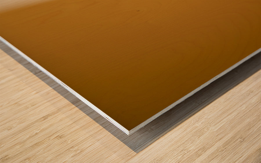 Wood Print