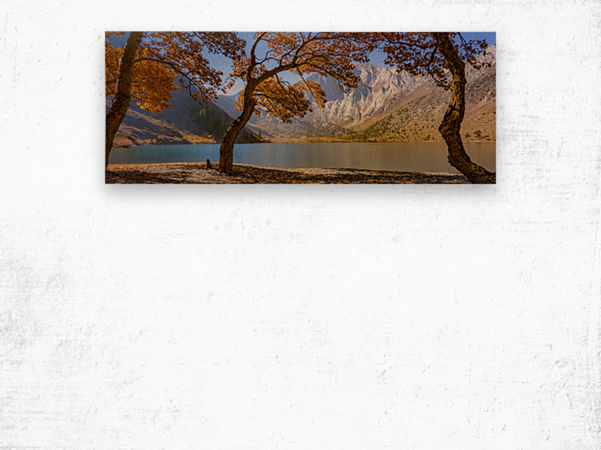 Wood Print